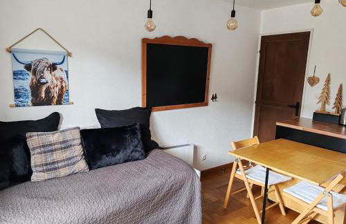 Apt confortable au pied des pistes et de la forêt - Foto 10