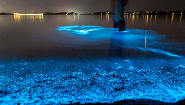 Una experiencia inolvidable