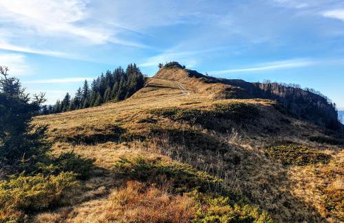Appartements Le Clos des Gentianes - Foto 68