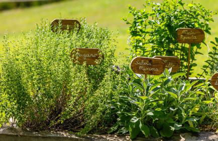 La Casa Di Nanì 8, Emma Villas - Foto 46