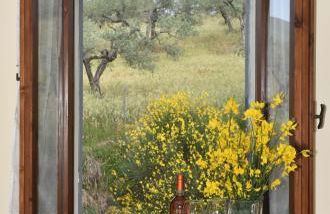 Agriturismo Villino Bellavista - Photo 23