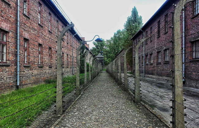 Krakow Combo: Auschwitz and Salt Mine Tour - Photo 2