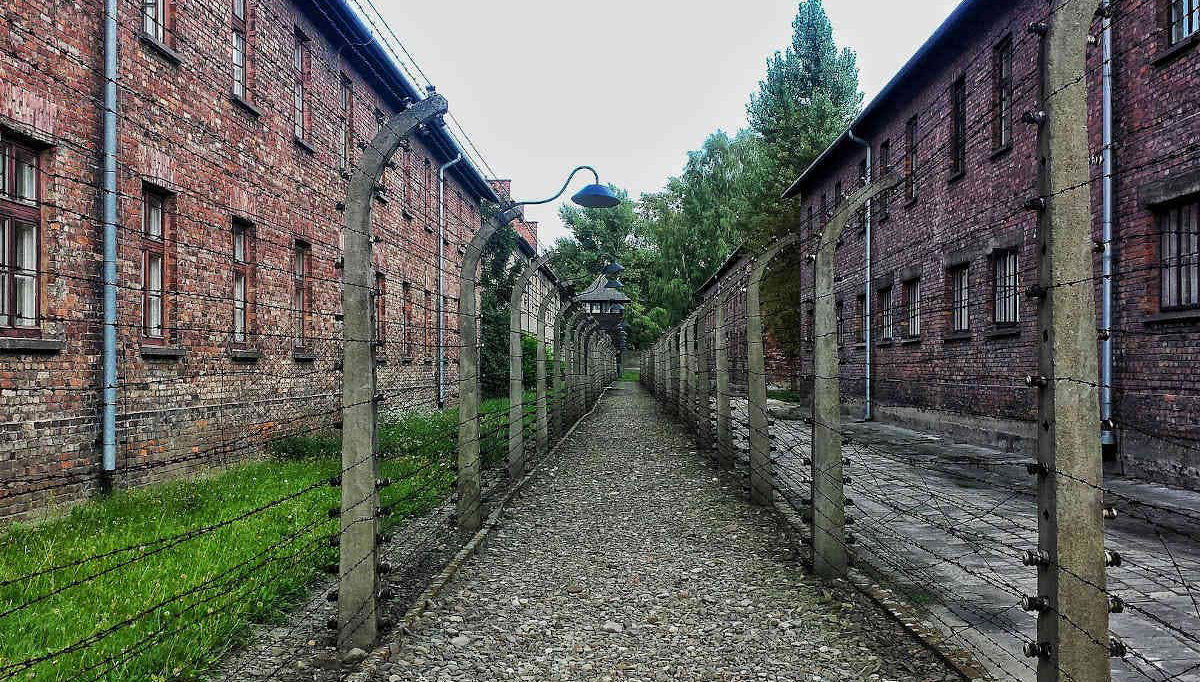 Oferta: Auschwitz + Minas de Sal en un día - Foto 2, Recorriendo Auschwitz