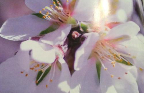 Tonsorim Affitti brevi - Foto 44