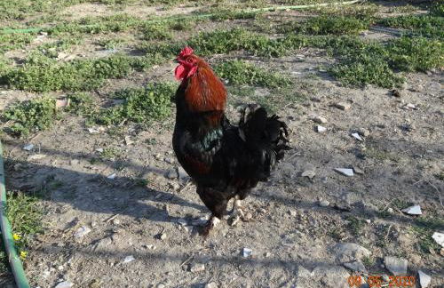 Agriturismo Fieri - Foto 27