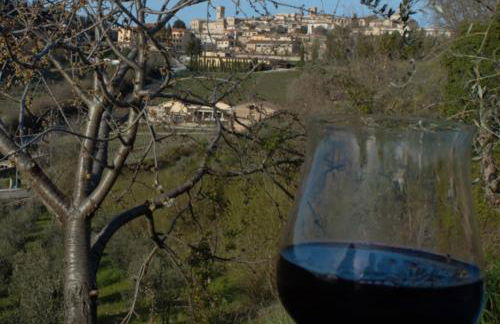 Cardinal Girolamo - Foto 57