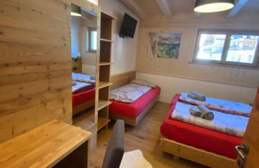 Cèsa Prinoth - Foto 45