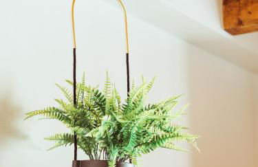 BRE Apartments - Magellano - Foto 12