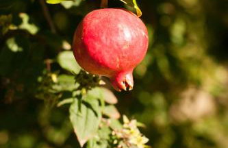 Villa close to the beach - Foto 30