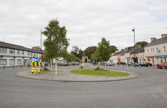 Inviting 4-bed House in Strokestown - Photo 22