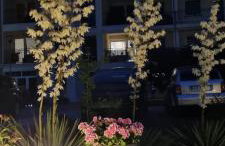 BLUE MARE Apartamenty MES - Foto 27