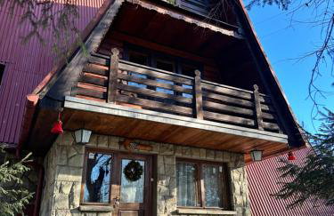 BUKOWA Jezioro Żywieckie Beskid Żywiecki Śląski Sauna Jacuzzi Kominek Morsowanie Tresna Żywiec Szczyrk - Foto 42