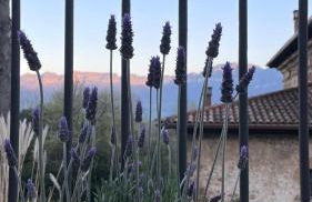 Casa Mi Capricho - Photo 31