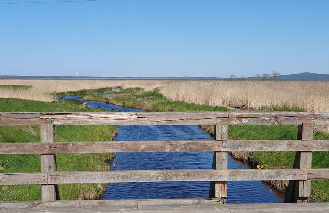 Fantastic House, Located Among Meadows and Nature, Near the Sea - Photo 76