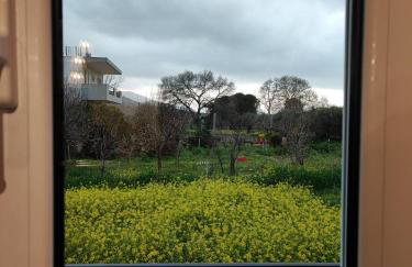 Marios house - Foto 29