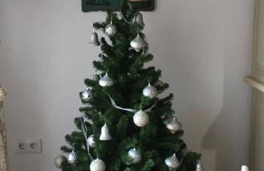 Casa Rural Castillo de Segura - Foto 9