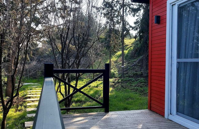 Sole Foca ( Ages 12+ ) - Foto 47