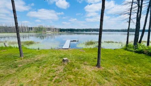Gaylord Lakefront Cabin w Private Dock Fire Pit - Foto 4