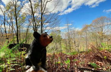 Fireplace Catskill Views Overlook Lake Cabin - Foto 55
