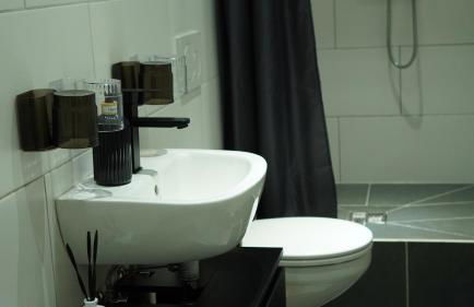 Ferienwohnung - modernes Heim Li-Apartments - Foto 24