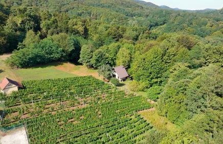 The Cozy Chalet - Foto 50