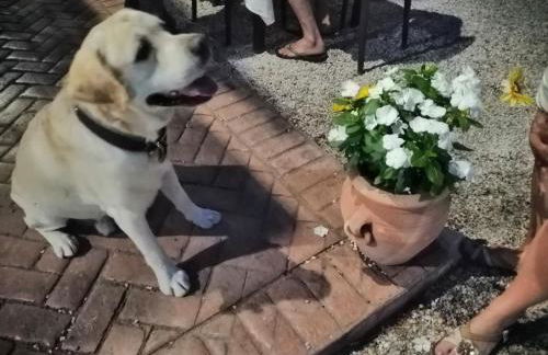 B&B Borgo San Antonio - Foto 55