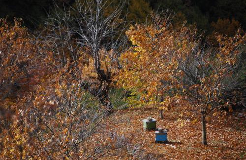 Dryades Guesthouse - Foto 29