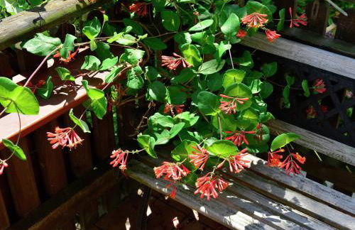 Apartment in the Hochsauerland region in a quiet location - Foto 23