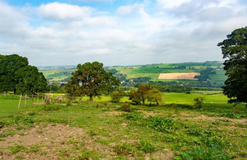 The Kennels - Foto 34