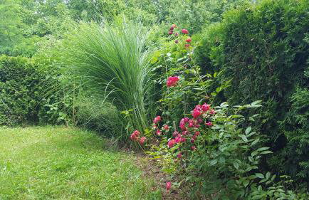 Apartment Nina - Foto 22