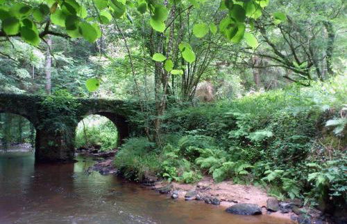 La Tiny House Terra Nostra - Foto 28