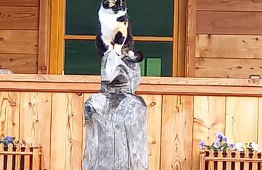 Ferienwohnungen Mooshäusl - Foto 28