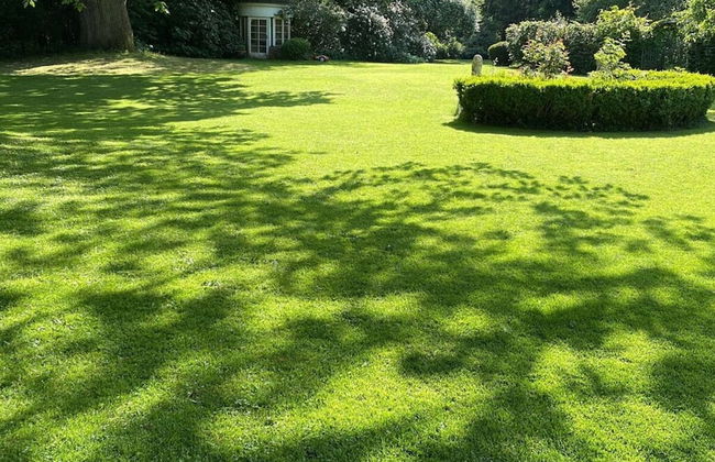 Landhaus Gutmussen 2 A - Foto 22