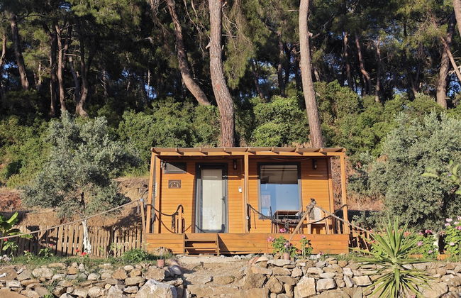 TİNY MİNİ HOUSE - Foto 1