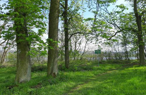 Kawalerka za Świeciem - Foto 21