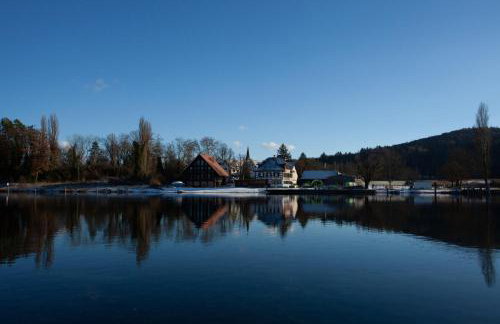 Paradiso am Hochrhein - Foto 18