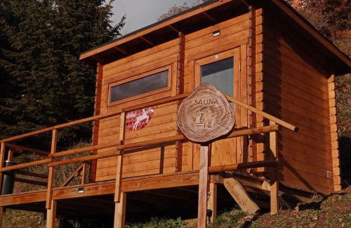 les gites axéens (l'Ours) - Foto 36