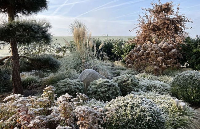 Ambiance Modern Retreat - Photo 28