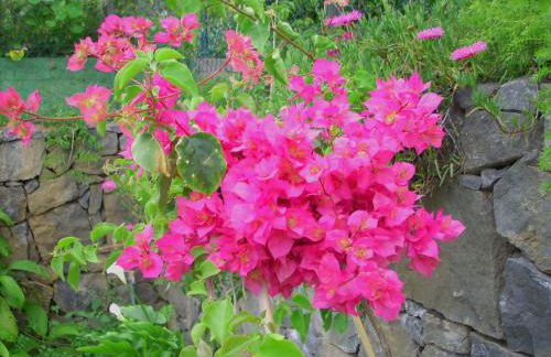 Holiday Home El Mar - Foto 26