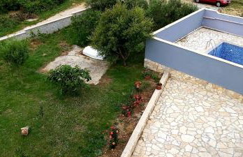 Bicho House - Foto 5