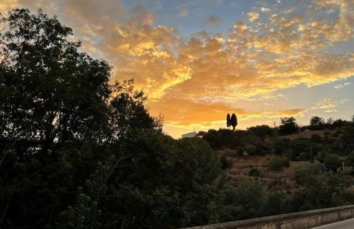 El puente de lata 1 - Photo 21