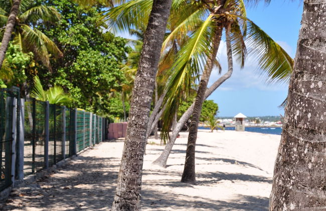 Résidence Tropicale - Photo 43