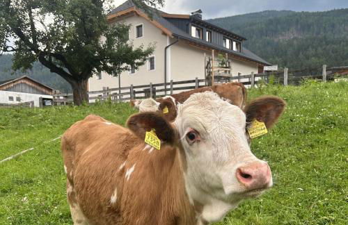 Obermairhof - Foto 10