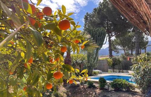 Casa Pipa Alhaurín el Grande - vrijstaande casita met privé zwembad en grote tuin - Photo 20