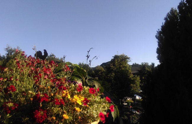 Wohnung im 1. Stock bei Willingen - Foto 26