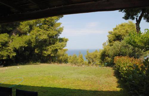 Poseidi - Villa Olivia - Foto 55