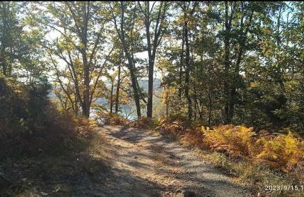 Gite de la foret - Foto 24