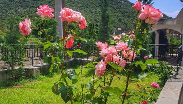 Stavrini's House - Photo 4