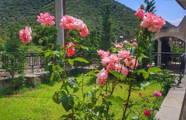 Stavrini's House - Photo 4