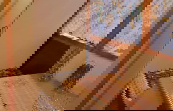 Woodland Gardens - Photo 25